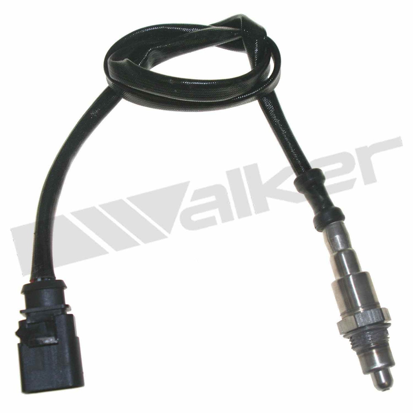 Front View of Downstream Oxygen Sensor WALKER 250-241142