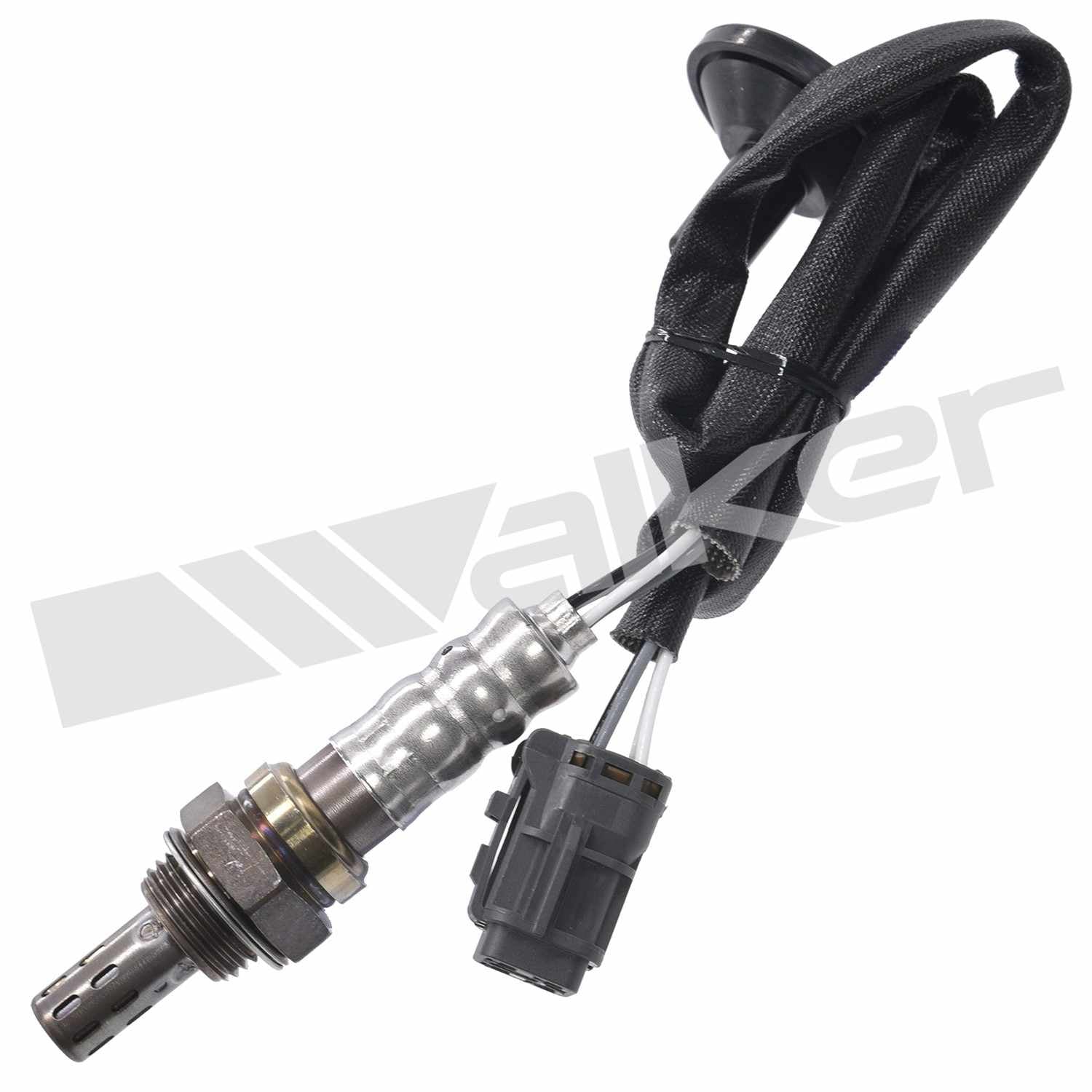 Front View of Downstream Oxygen Sensor WALKER 250-241146