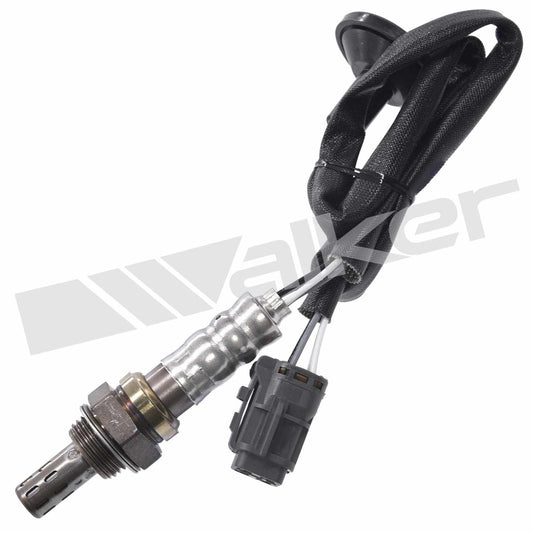 Front View of Downstream Oxygen Sensor WALKER 250-241146