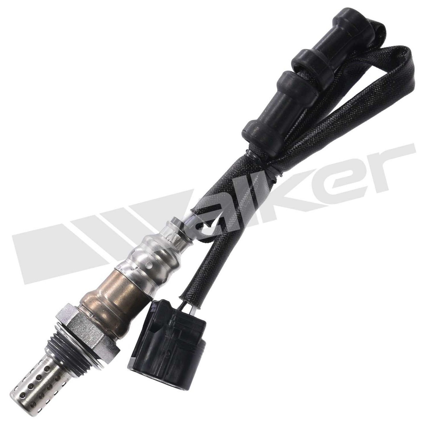 Front View of Downstream Oxygen Sensor WALKER 250-241259