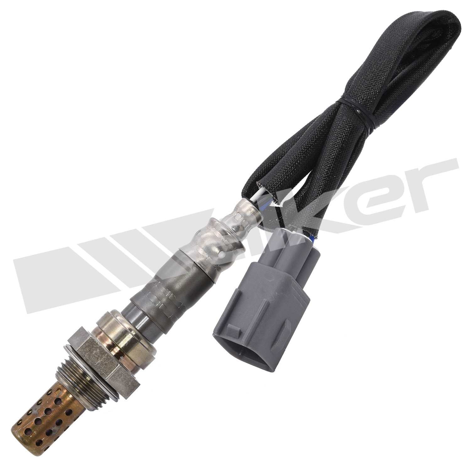 Front View of Front Downstream Oxygen Sensor WALKER 250-24225