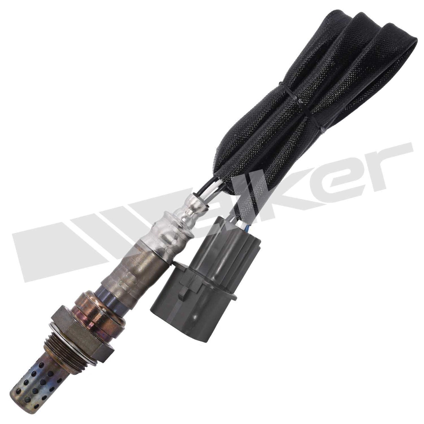 Front View of Left Oxygen Sensor WALKER 250-24242