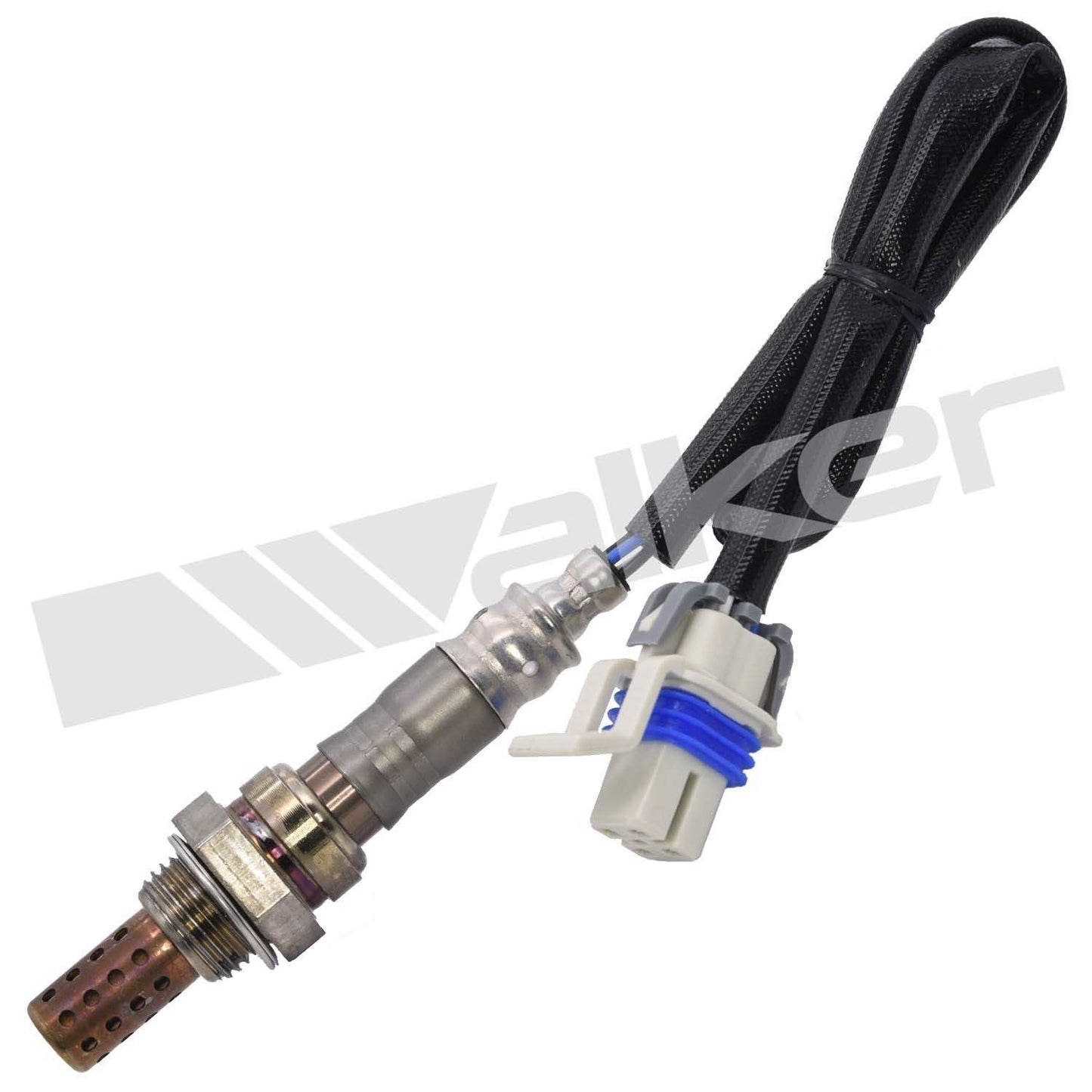 Front View of Front Downstream Oxygen Sensor WALKER 250-24267