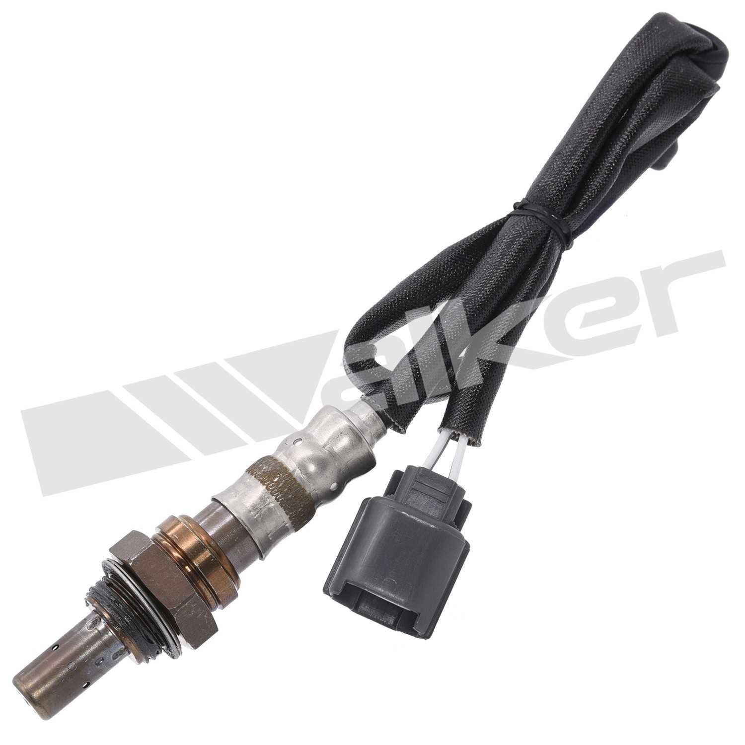 Front View of Oxygen Sensor Bung Plug WALKER 250-24343