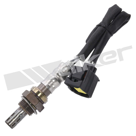 Front View of Downstream Oxygen Sensor WALKER 250-24345