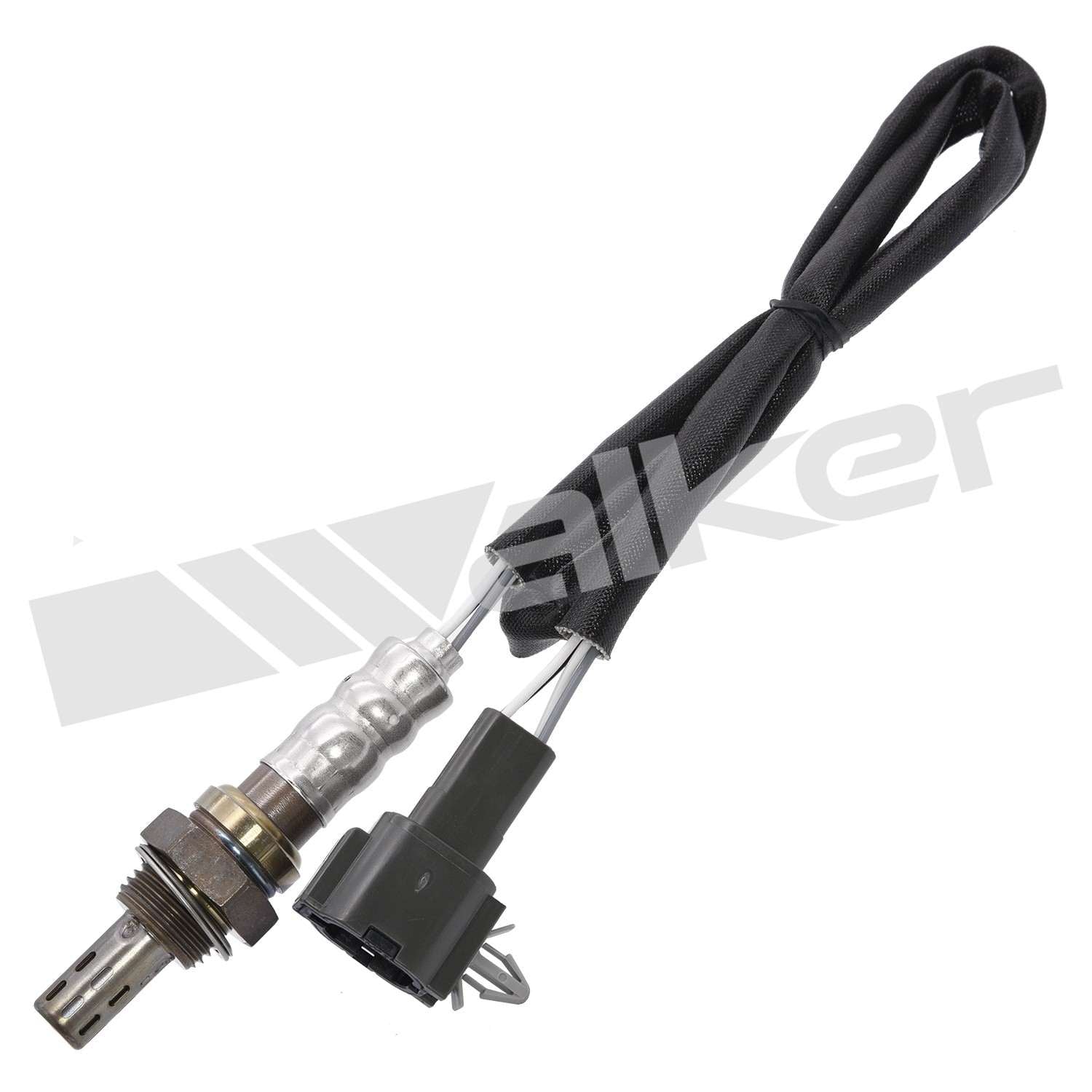 Front View of Downstream Oxygen Sensor WALKER 250-24371