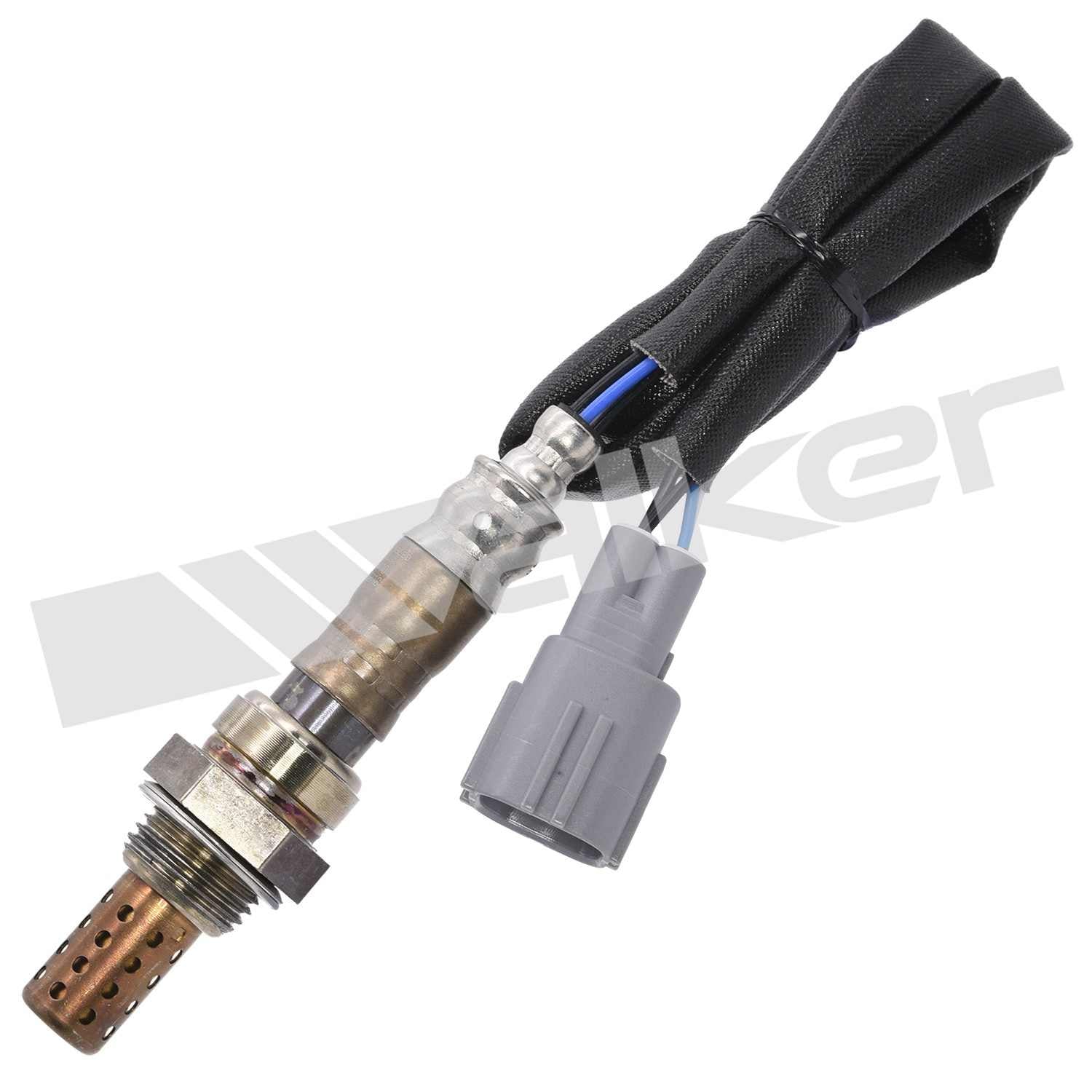 Front View of Downstream Oxygen Sensor WALKER 250-24440