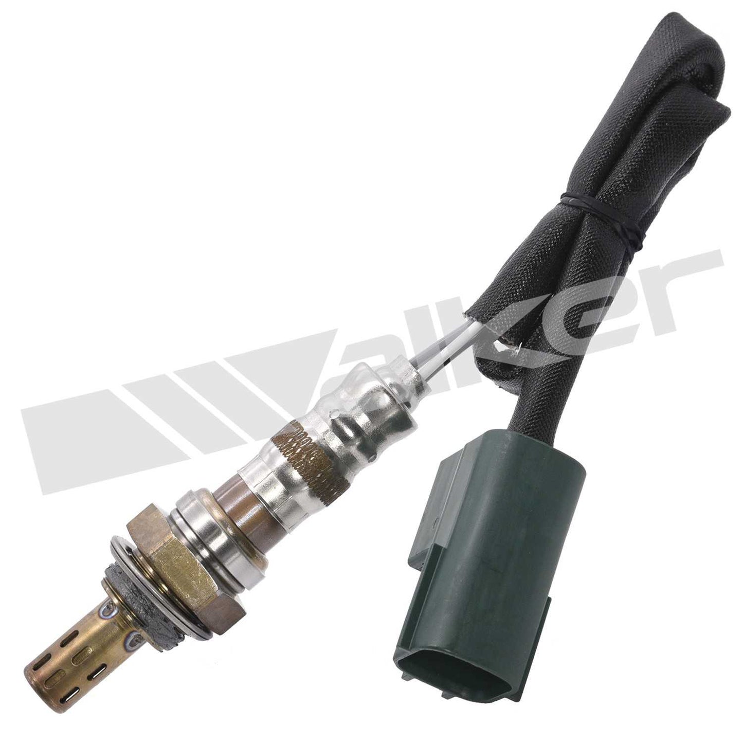 Front View of Downstream Left Oxygen Sensor WALKER 250-24448