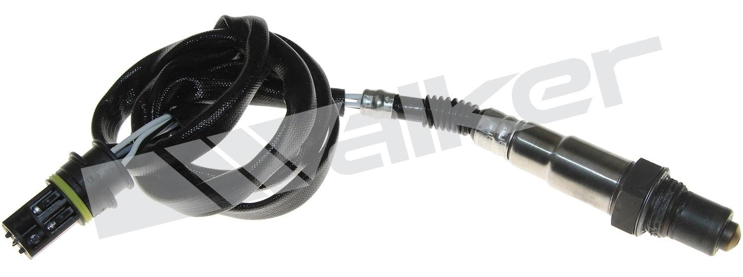 Front View of Oxygen Sensor Bung Plug WALKER 250-24468