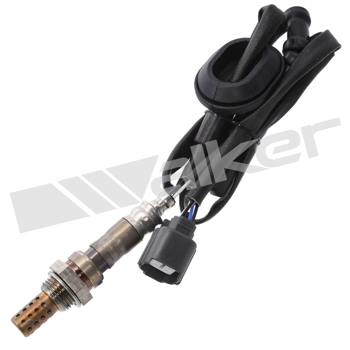 Front View of Downstream Oxygen Sensor WALKER 250-24476