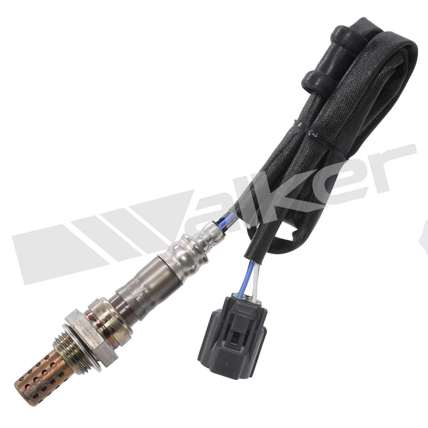 Front View of Downstream Oxygen Sensor WALKER 250-24601