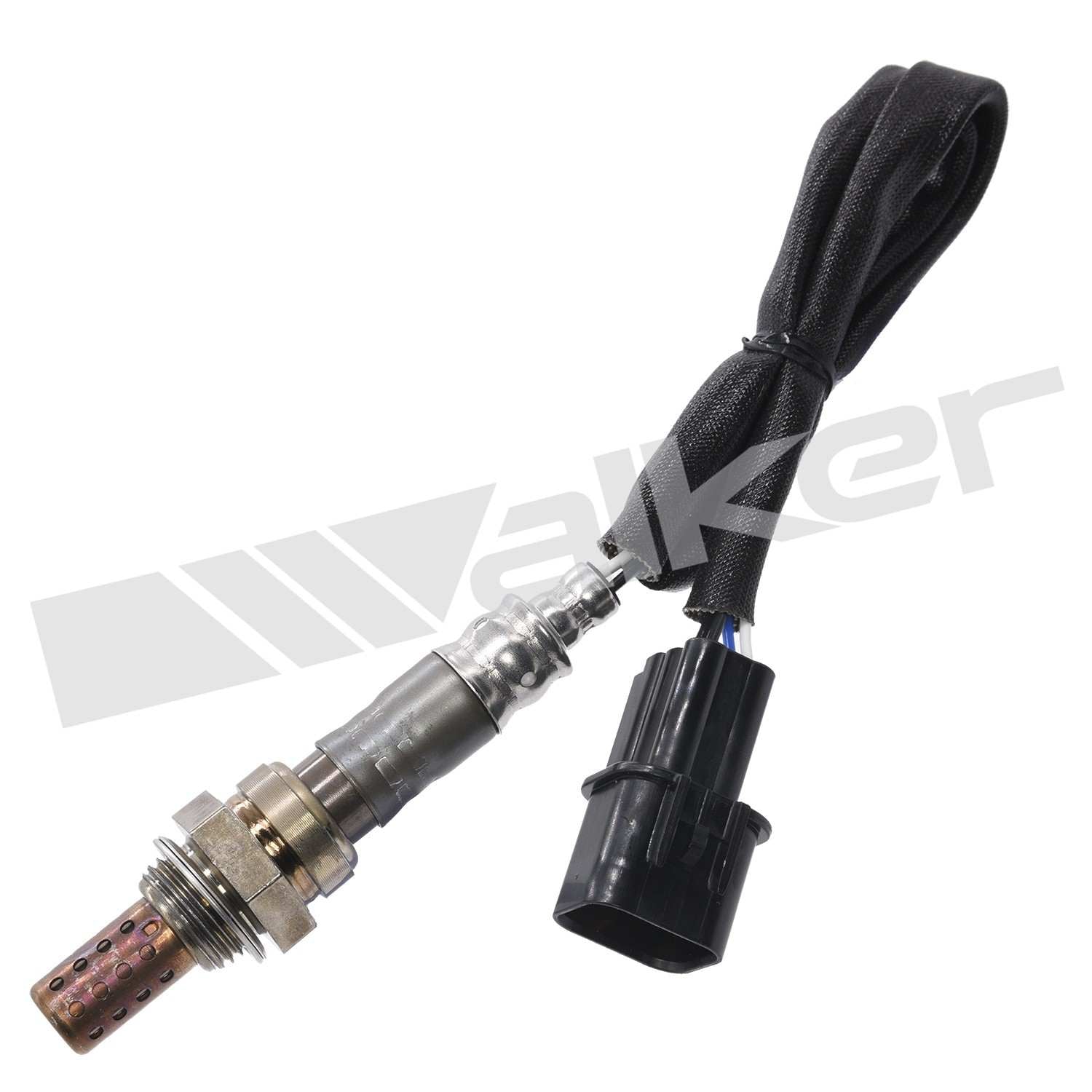 Front View of Rear Oxygen Sensor WALKER 250-24630