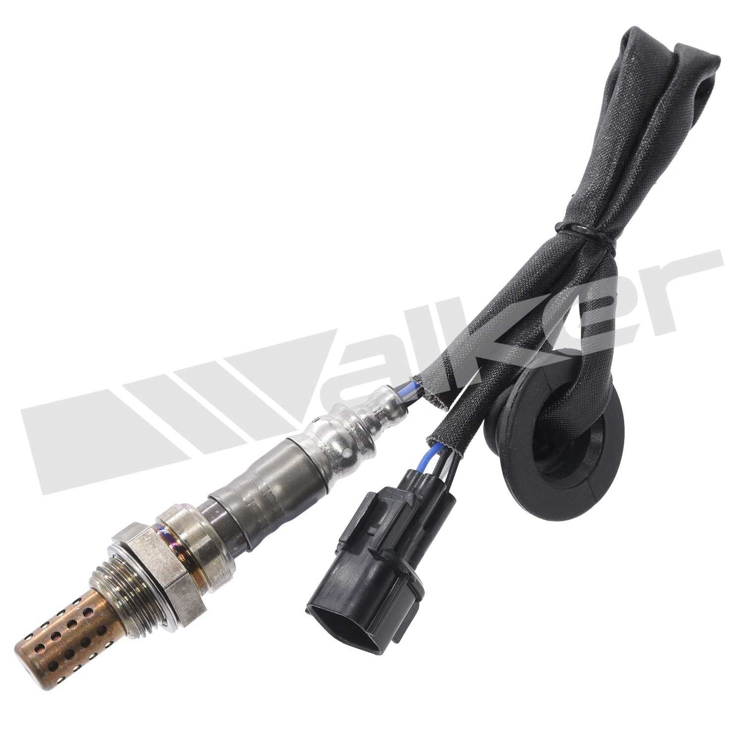 Front View of Downstream Oxygen Sensor WALKER 250-24653