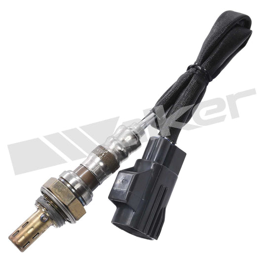 Front View of Oxygen Sensor Bung Plug WALKER 250-24656