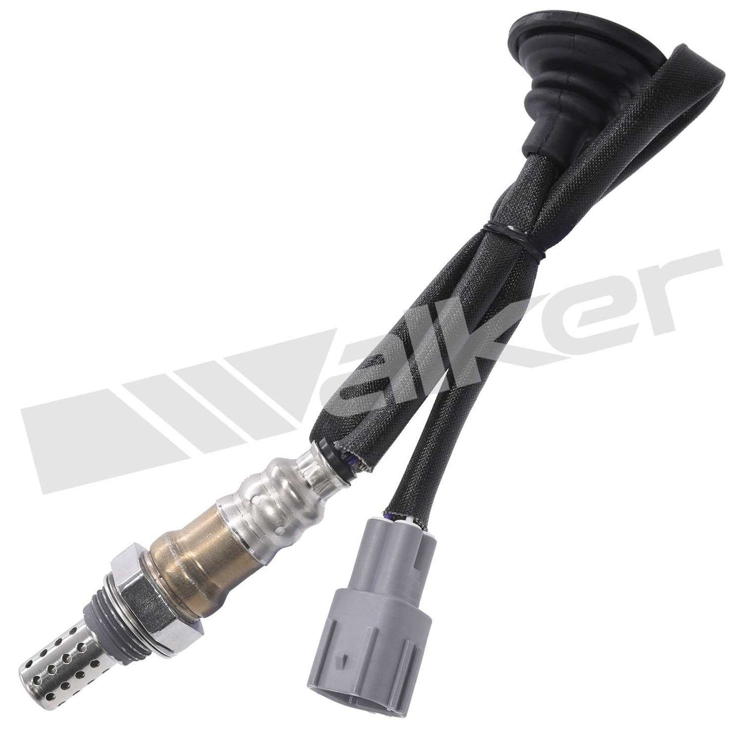 Front View of Downstream Right Oxygen Sensor WALKER 250-24684