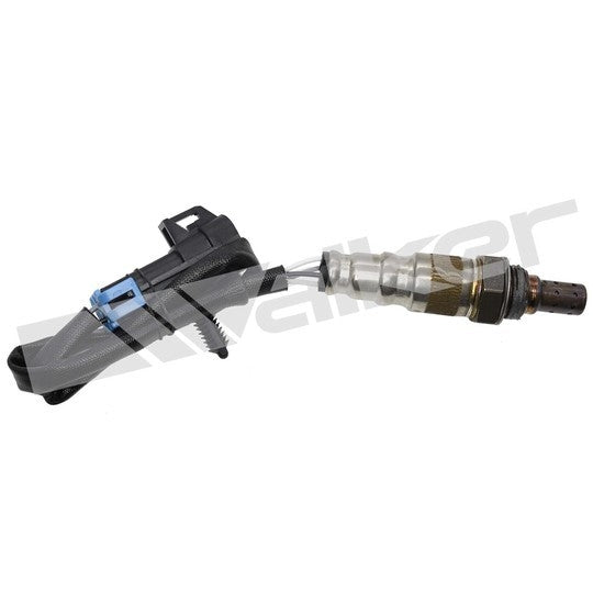 Front View of Rear Oxygen Sensor WALKER 250-24704