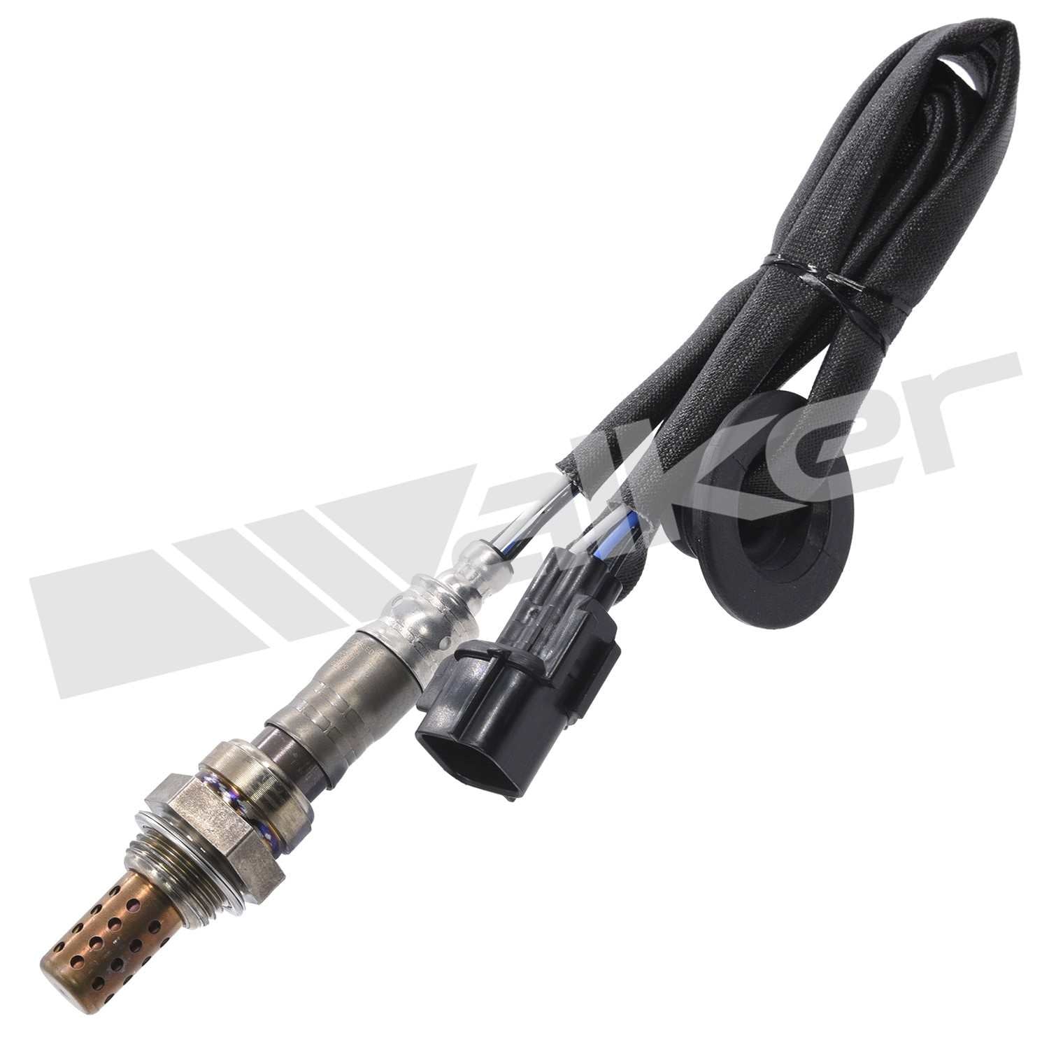 Front View of Oxygen Sensor Bung Plug WALKER 250-24709