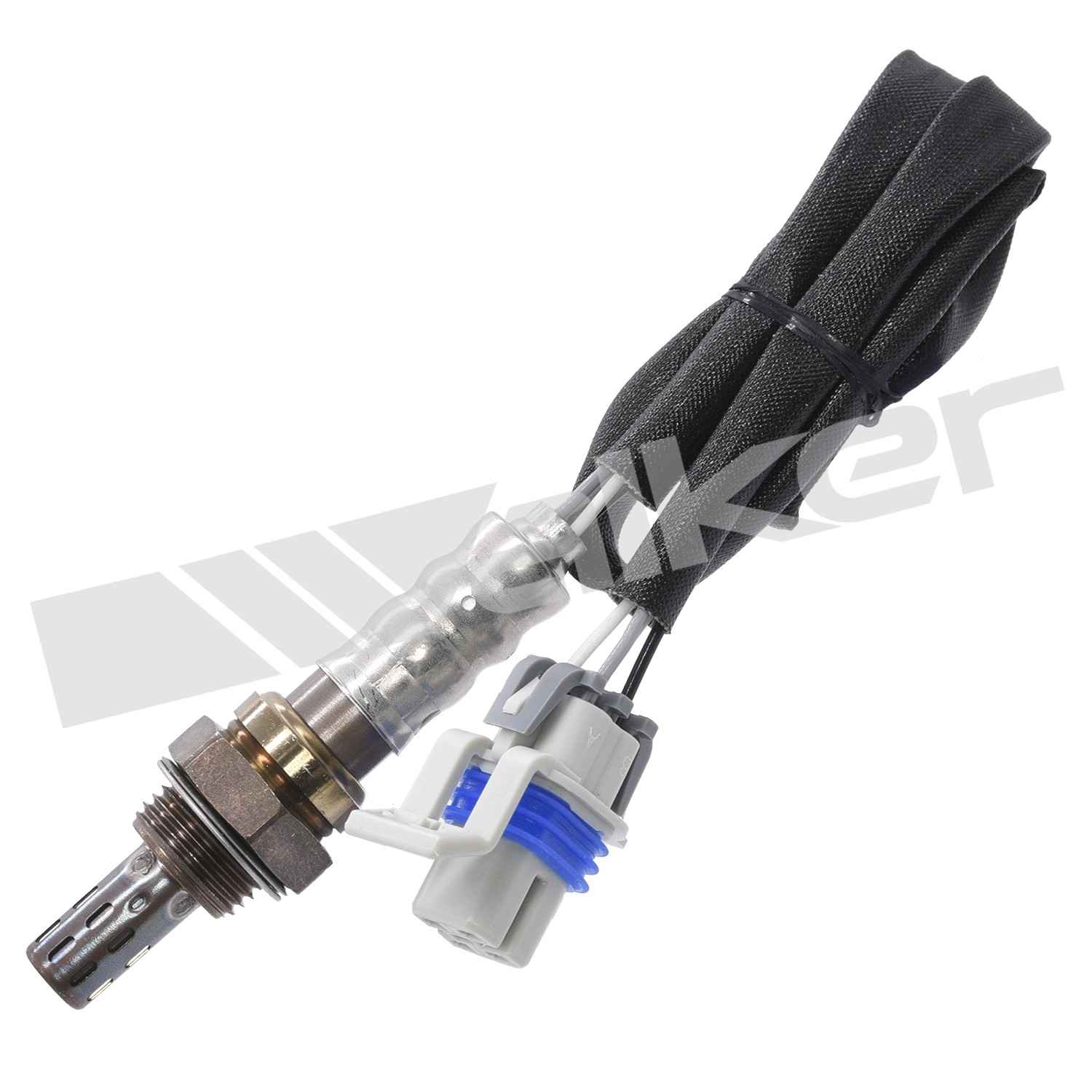 Front View of Oxygen Sensor Bung Plug WALKER 250-24728