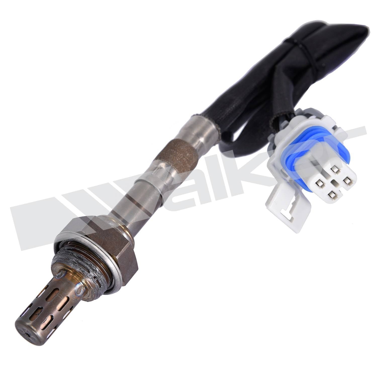 Front View of Downstream Oxygen Sensor WALKER 250-24736