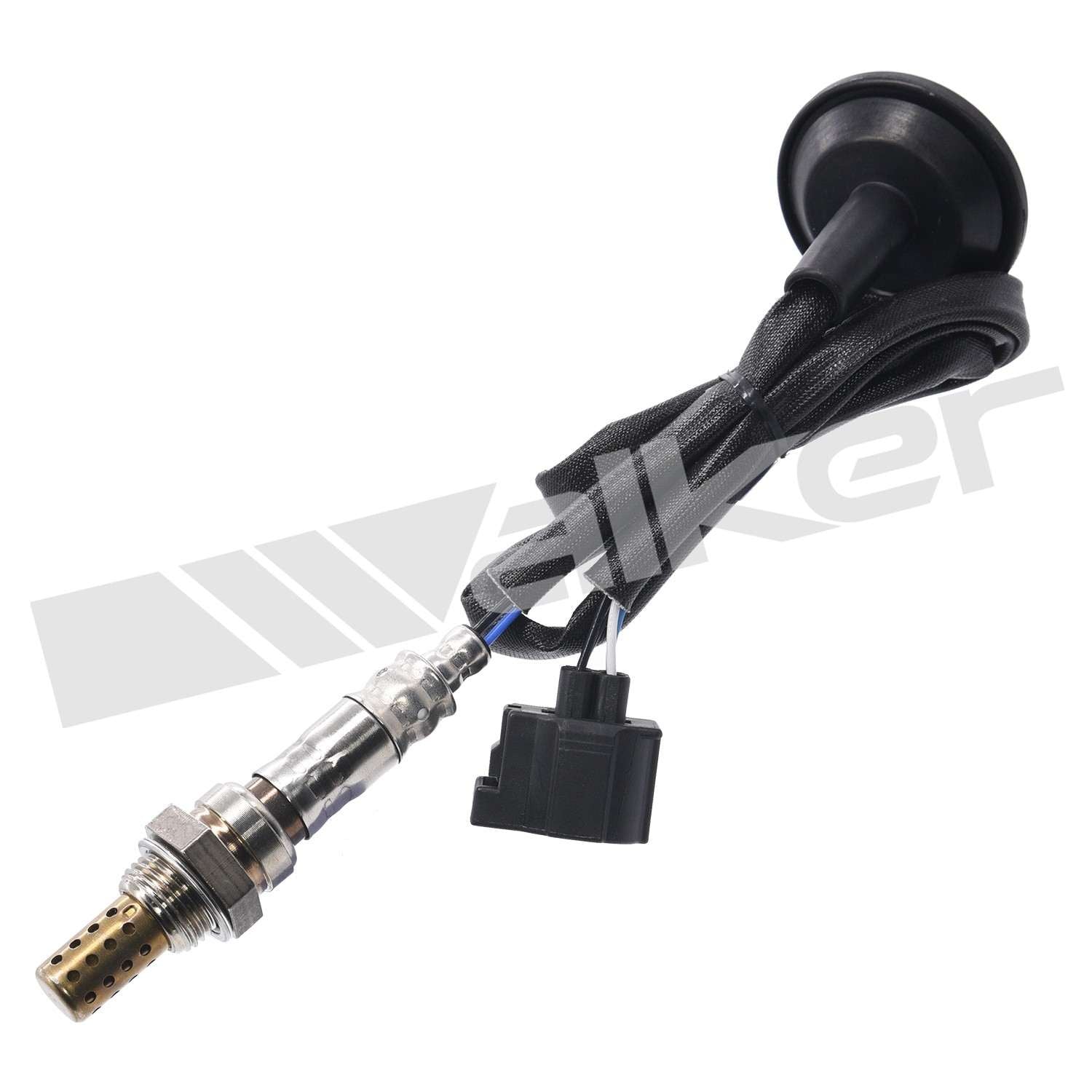 Front View of Oxygen Sensor WALKER 250-24751