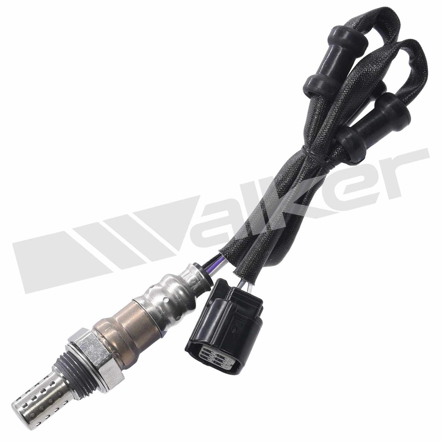 Front View of Downstream Oxygen Sensor WALKER 250-24799