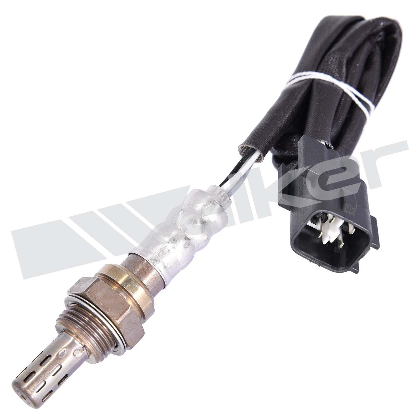 Front View of Downstream Oxygen Sensor WALKER 250-24878