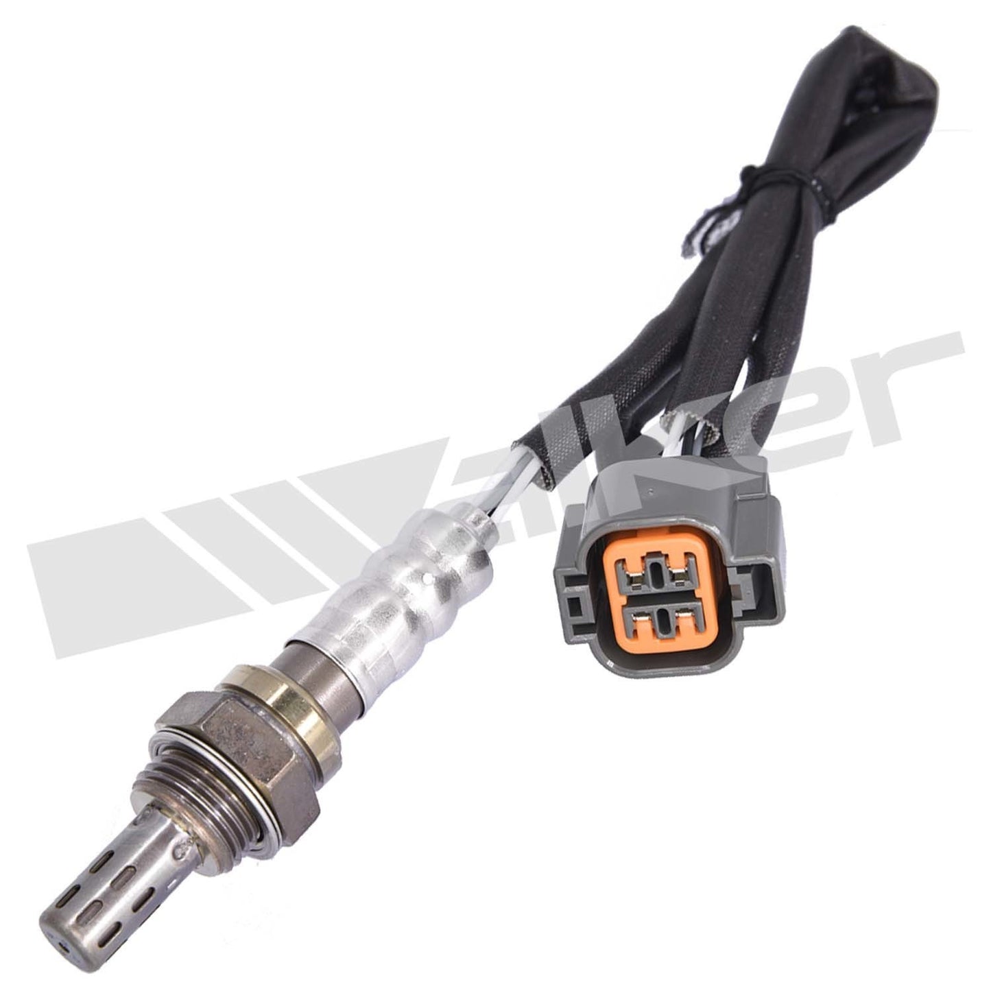 Front View of Downstream Oxygen Sensor WALKER 250-24913