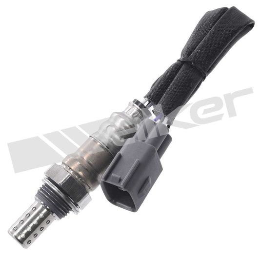 Front View of Downstream Left Oxygen Sensor WALKER 250-24924