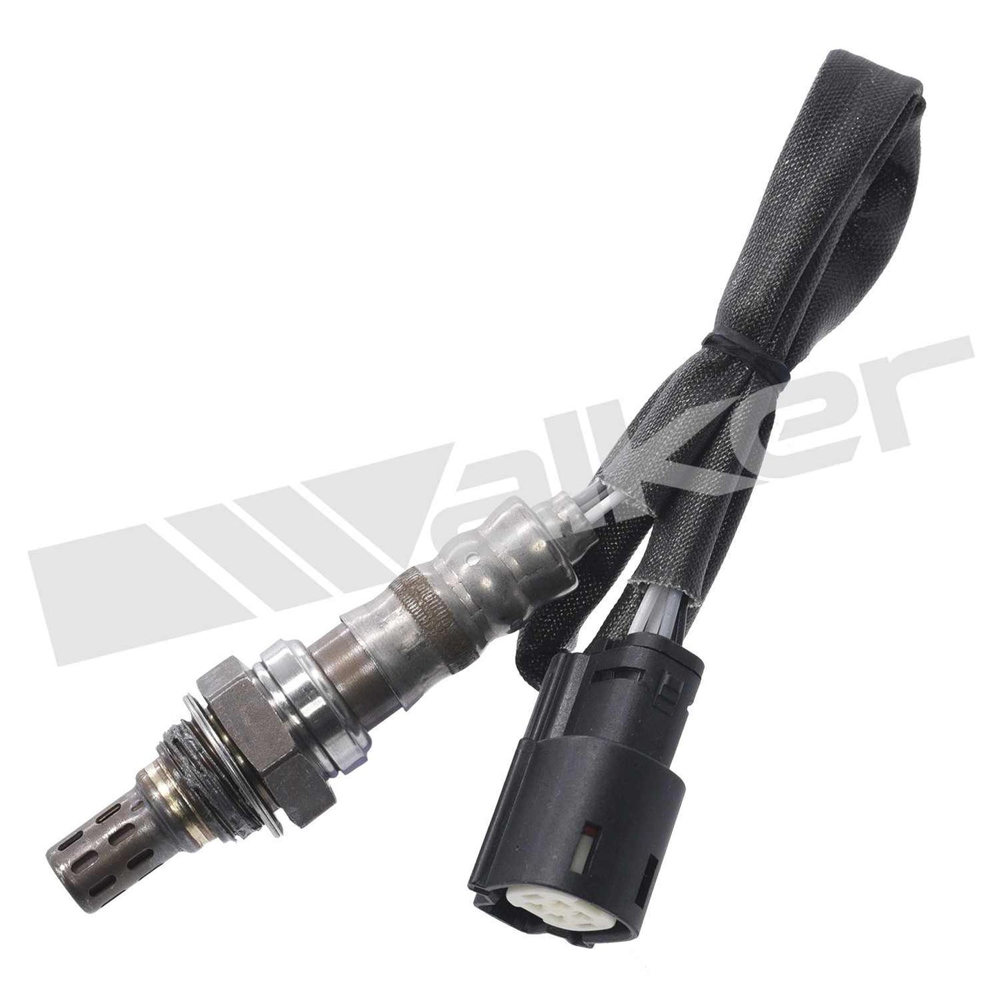 Front View of Downstream Right Oxygen Sensor WALKER 250-24989