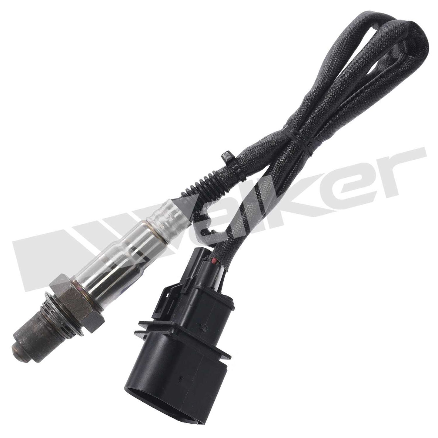 Front View of Right Oxygen Sensor WALKER 250-25002