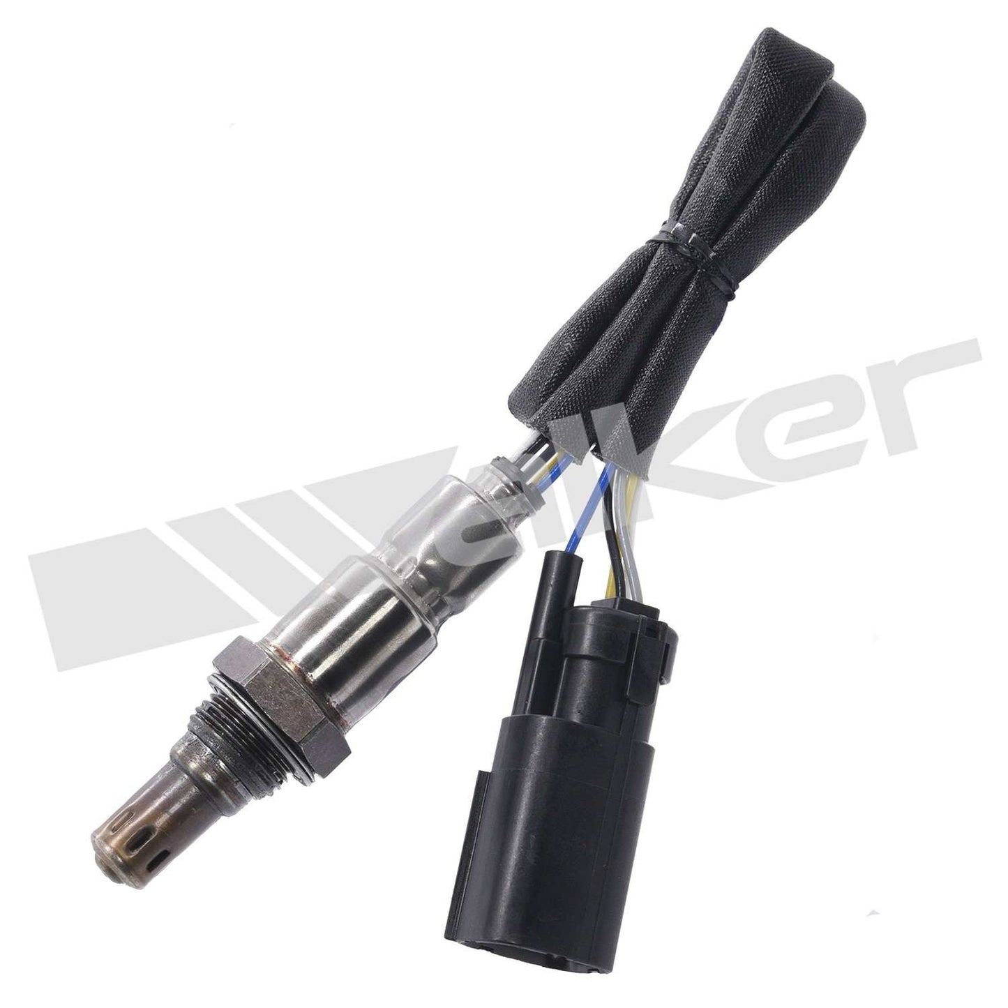 Front View of Oxygen Sensor Bung Plug WALKER 250-25086