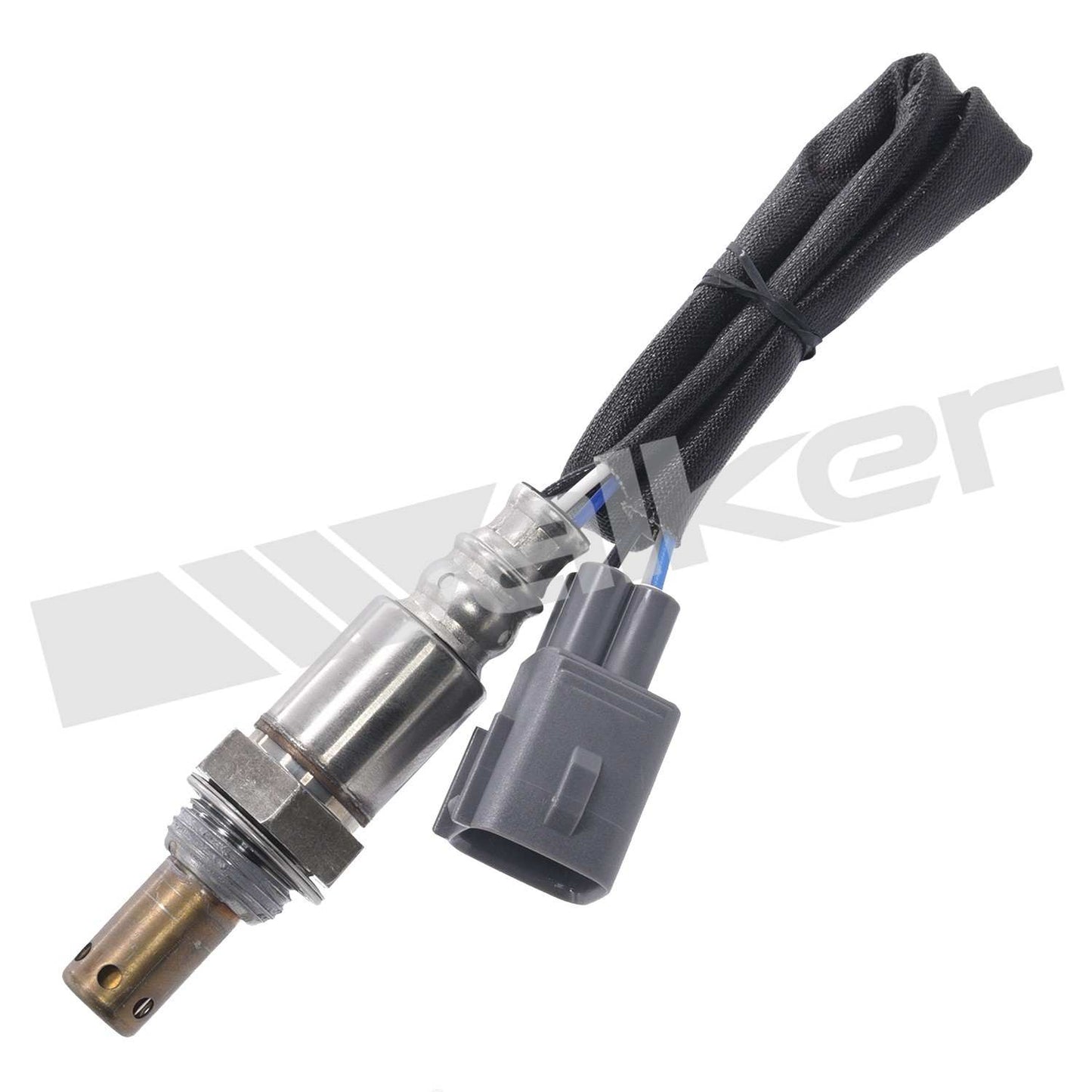 Front View of Oxygen Sensor WALKER 250-54006