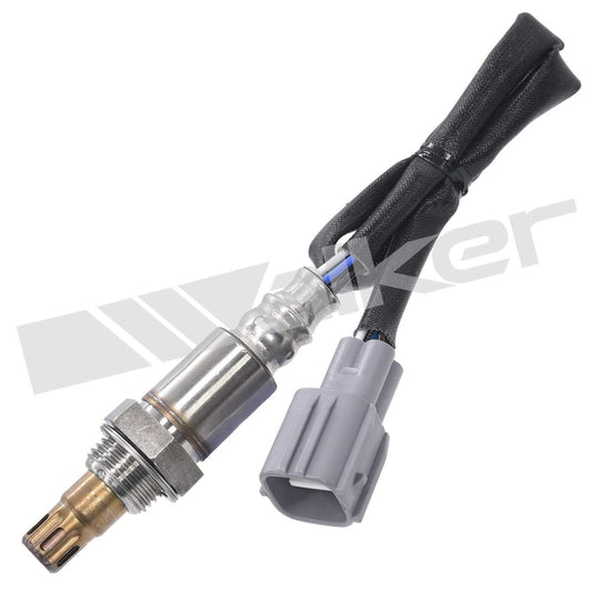 Front View of Oxygen Sensor Bung Plug WALKER 250-54084