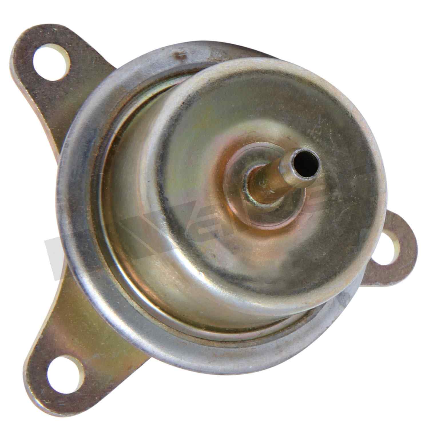 Front View of Fuel Pressure Regulator WALKER 255-1020