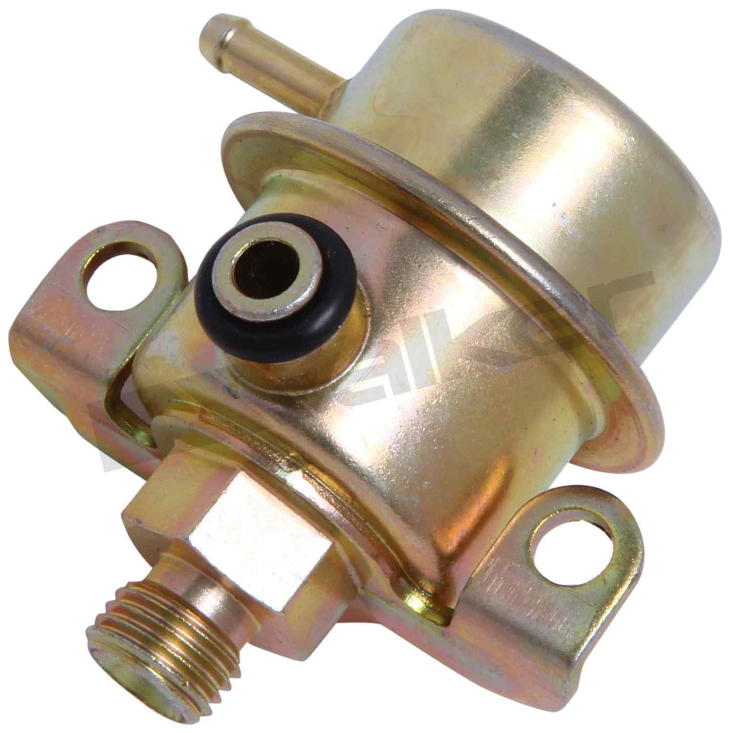 Front View of Fuel Injection Pressure Regulator WALKER 255-1093