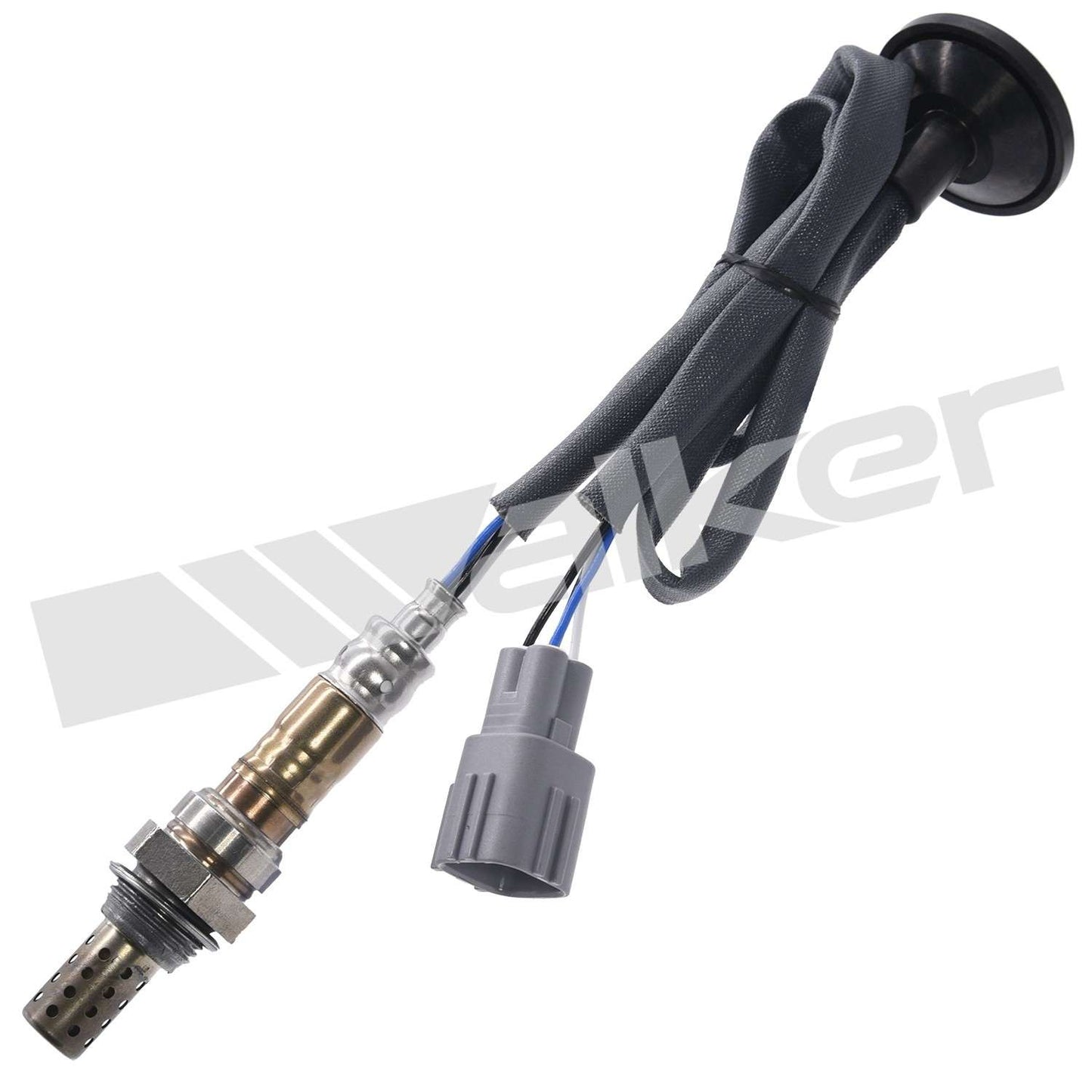 Front View of Oxygen Sensor WALKER 350-34092