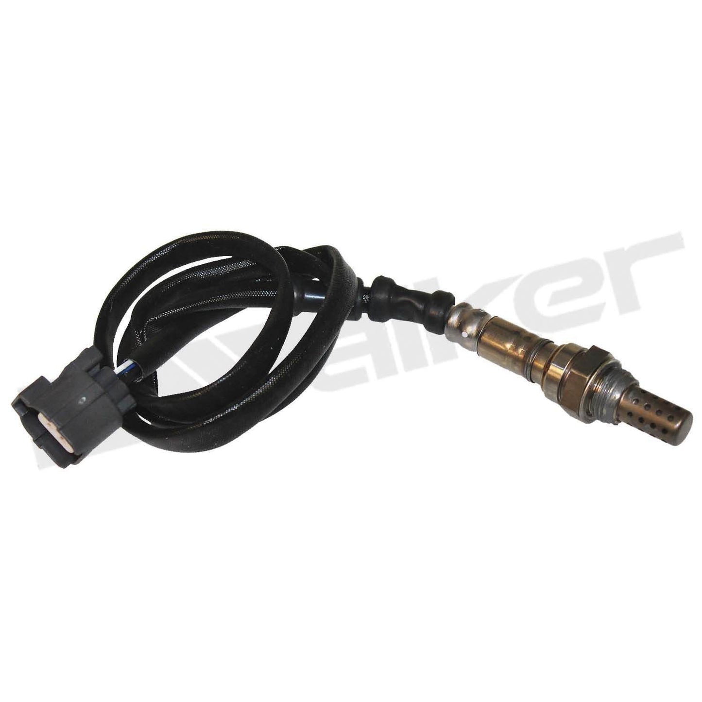 Front View of Downstream Oxygen Sensor WALKER 350-34119