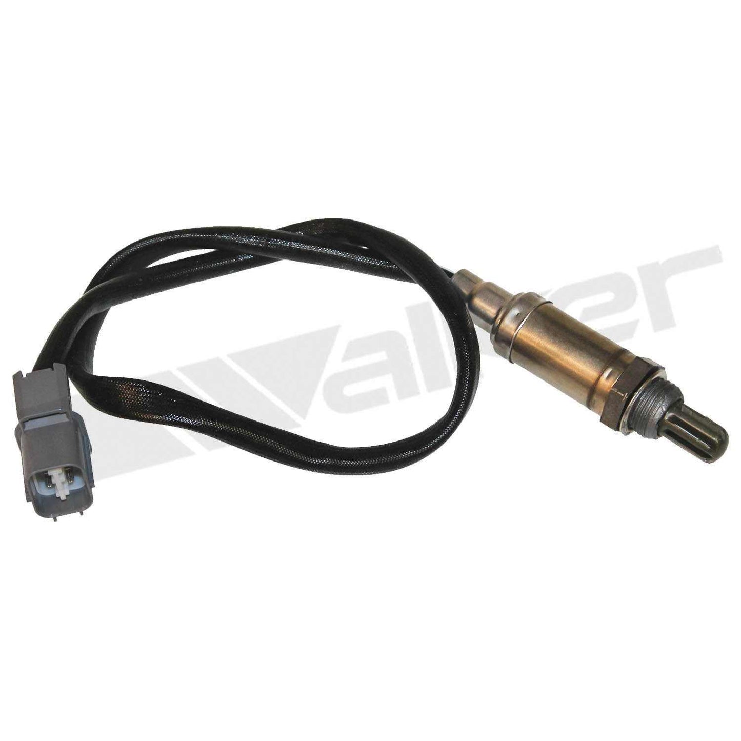 Front View of Downstream Right Oxygen Sensor WALKER 350-34188