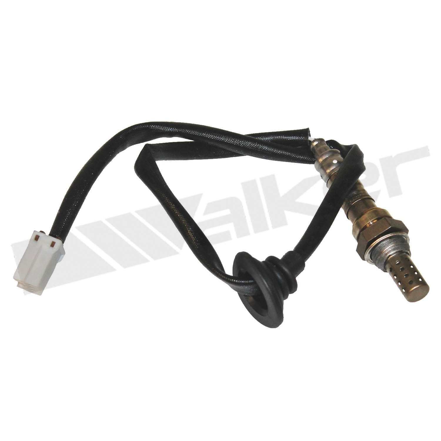 Front View of Downstream Oxygen Sensor WALKER 350-34203