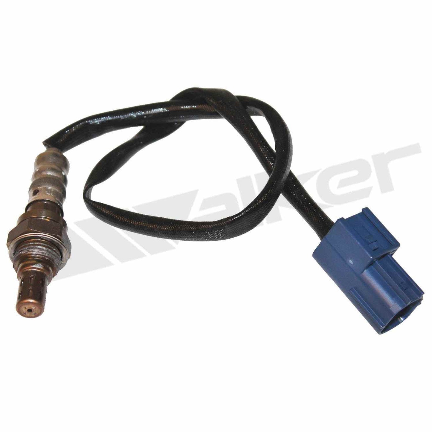 Front View of Downstream Right Oxygen Sensor WALKER 350-34384