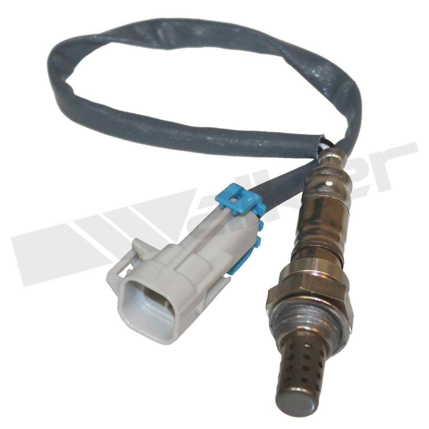 Front View of Right Oxygen Sensor WALKER 350-34412