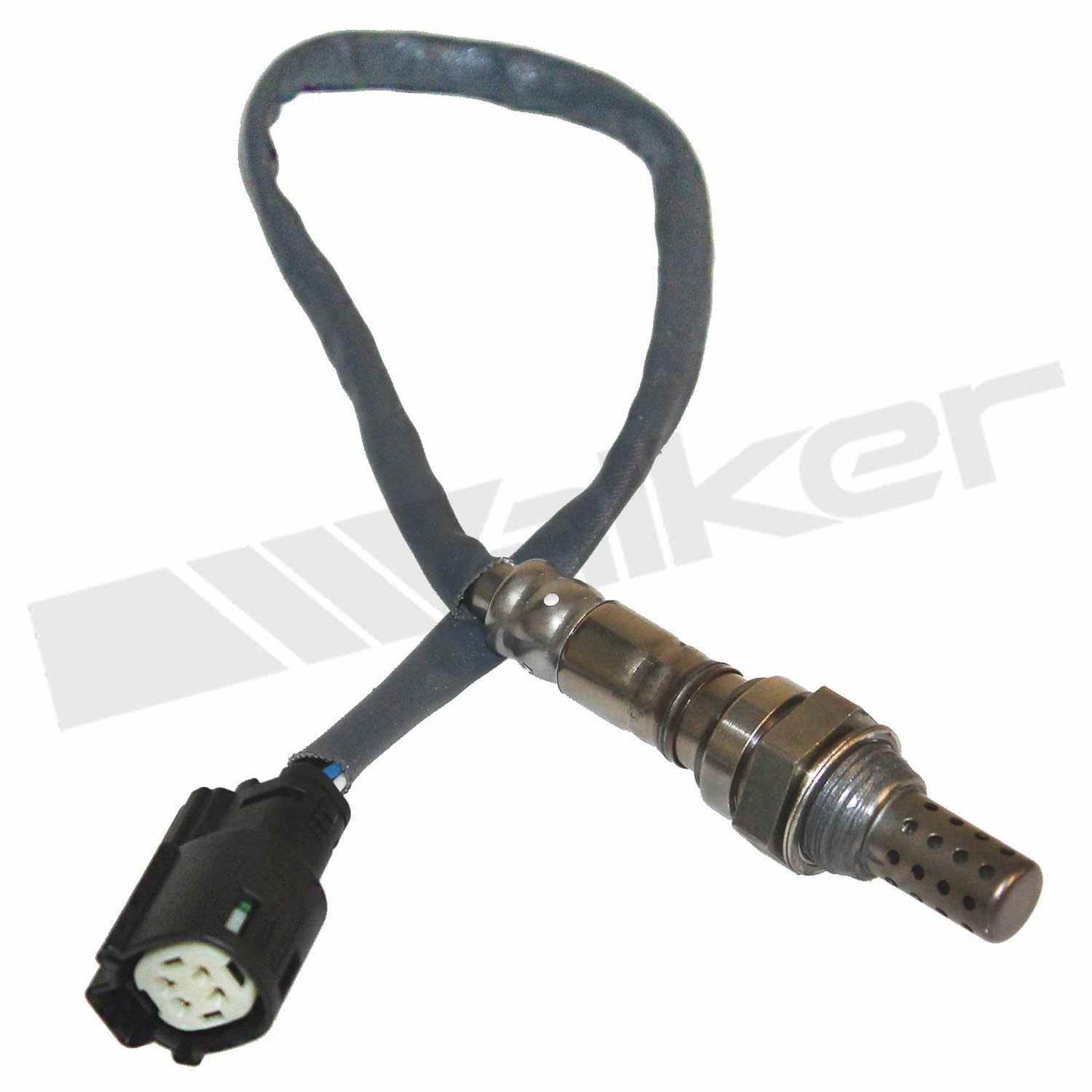 Front View of Downstream Right Oxygen Sensor WALKER 350-34446