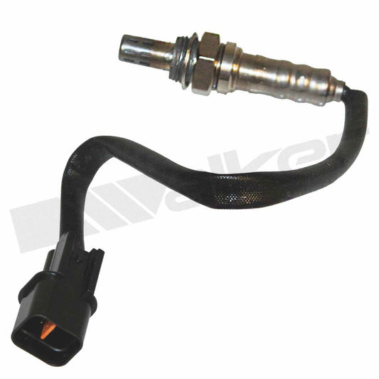 Front View of Oxygen Sensor WALKER 350-34481