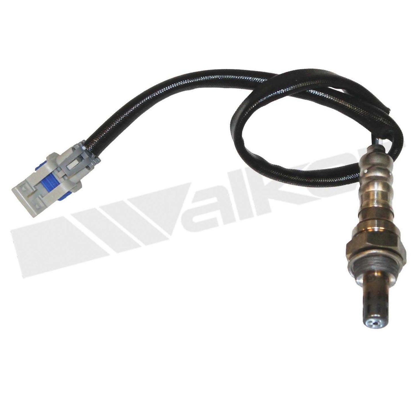 Front View of Downstream Oxygen Sensor WALKER 350-34494