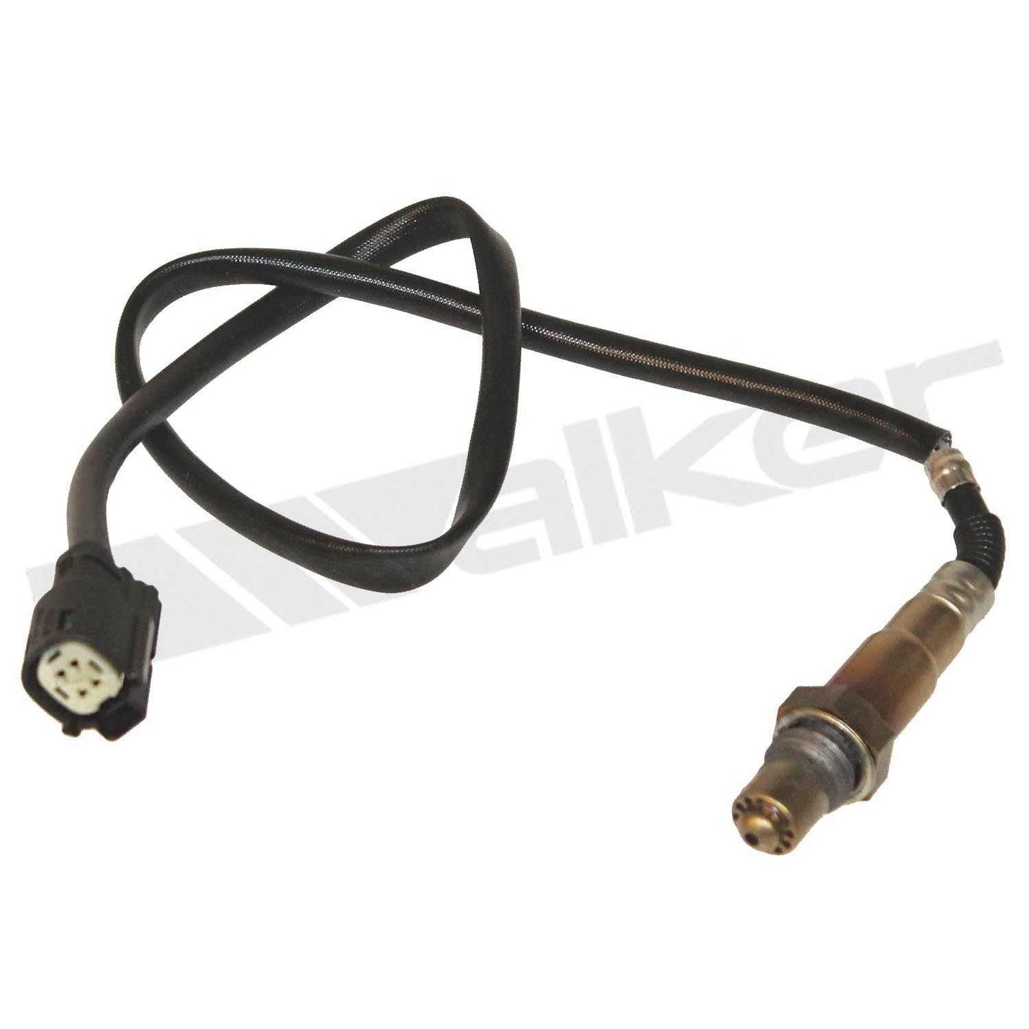 Front View of Downstream Oxygen Sensor WALKER 350-34529