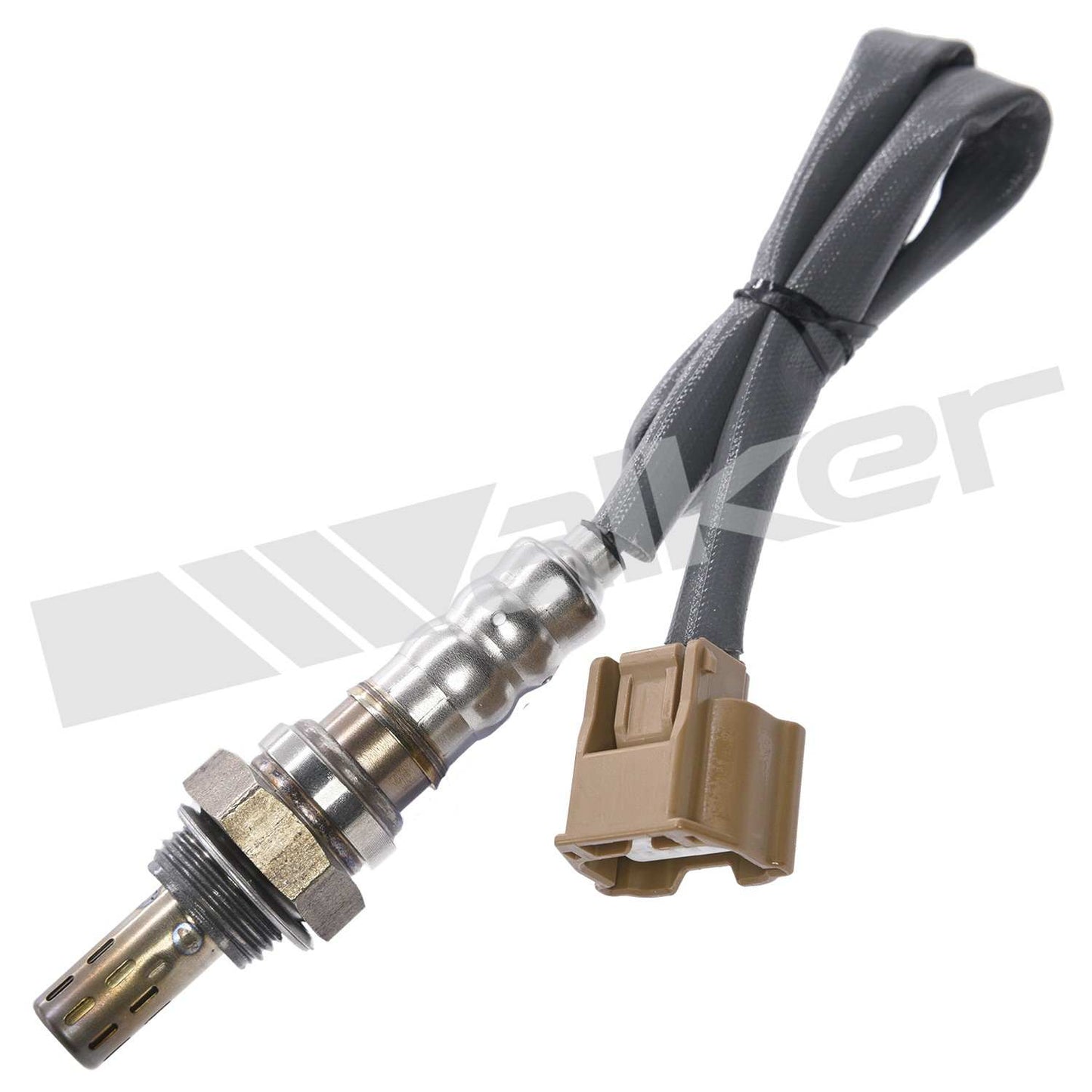 Front View of Downstream Right Oxygen Sensor WALKER 350-34689