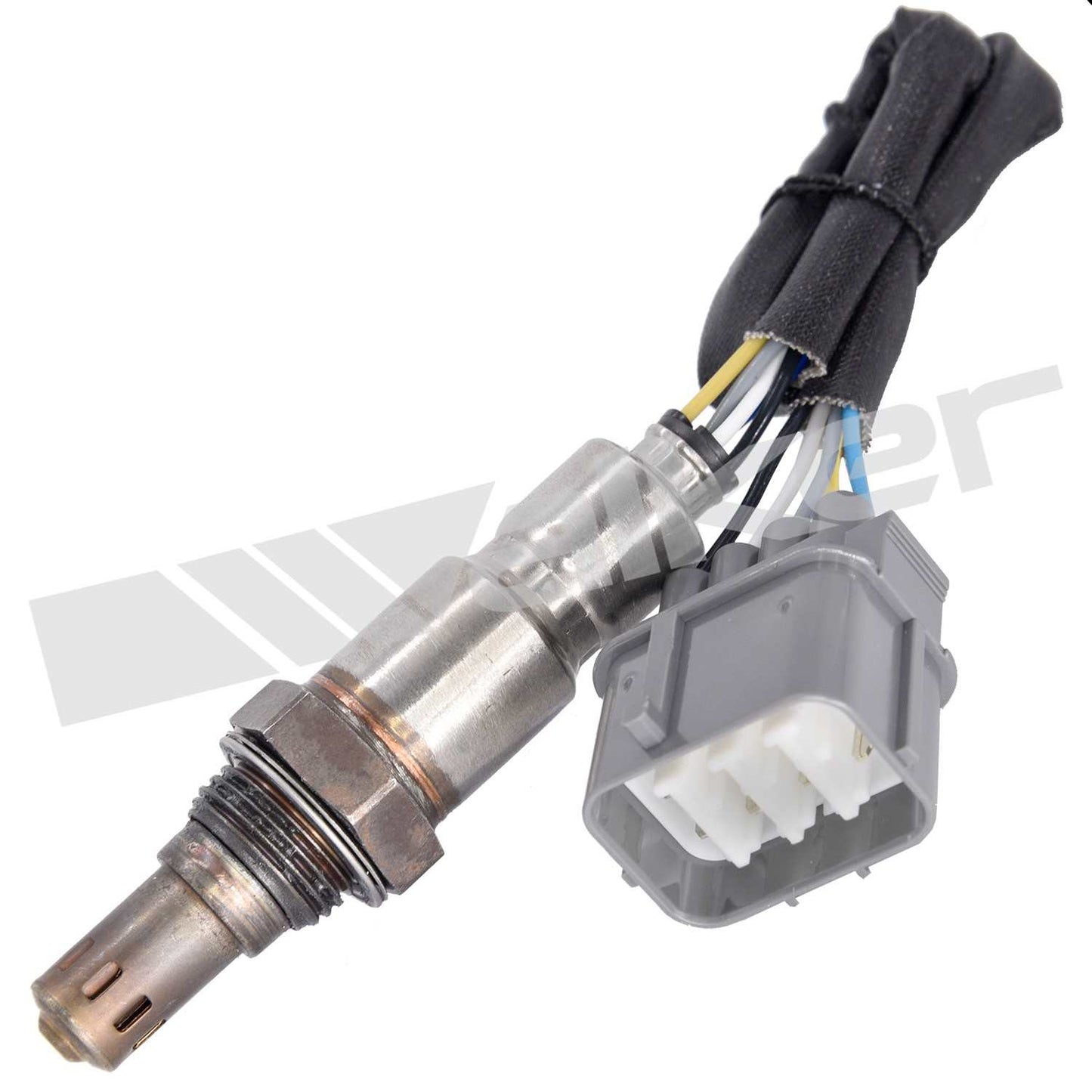 Front View of Rear Oxygen Sensor WALKER 350-35023