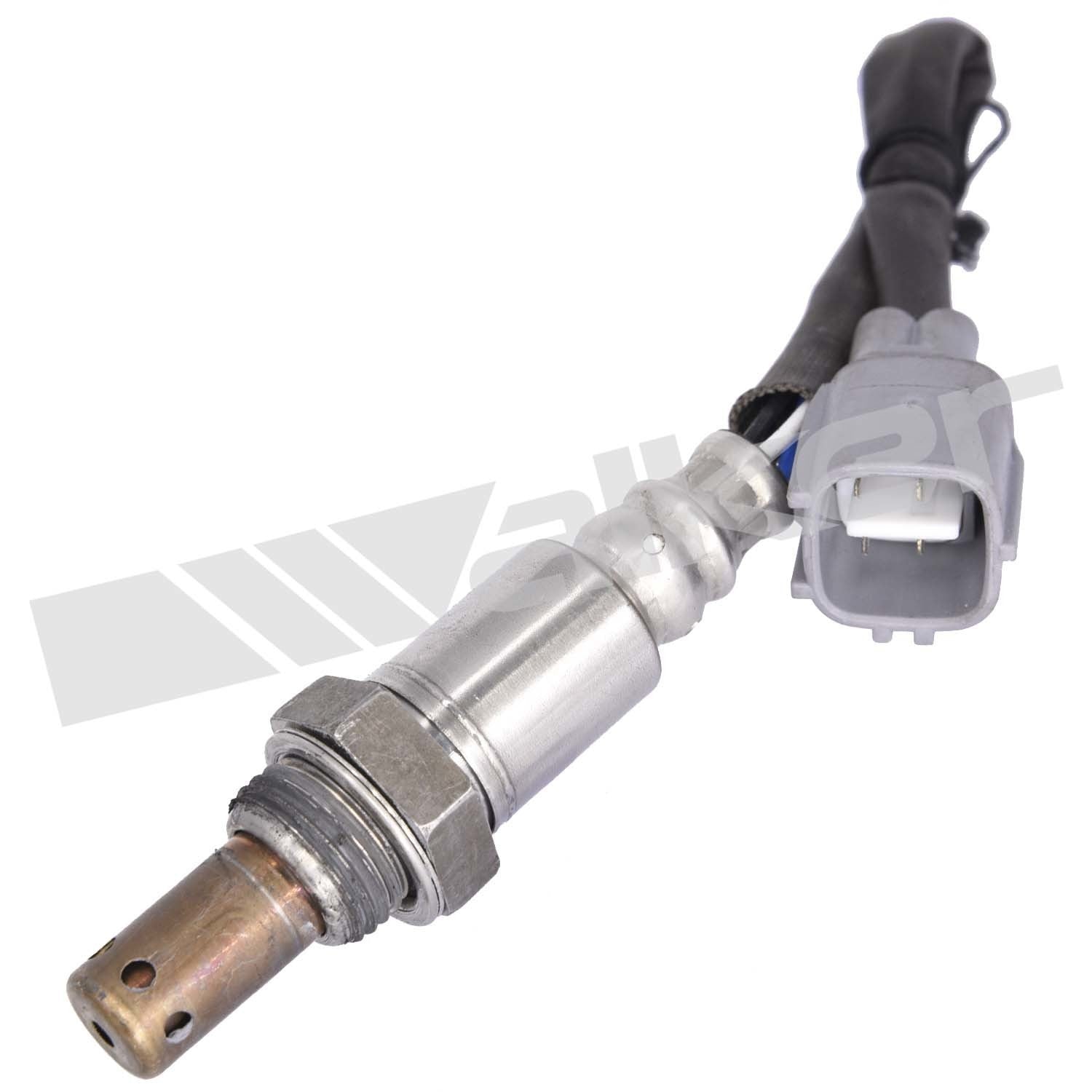 Front View of Rear Oxygen Sensor WALKER 350-64028