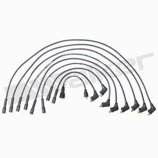 Front View of Spark Plug Wire Set WALKER 924-1626