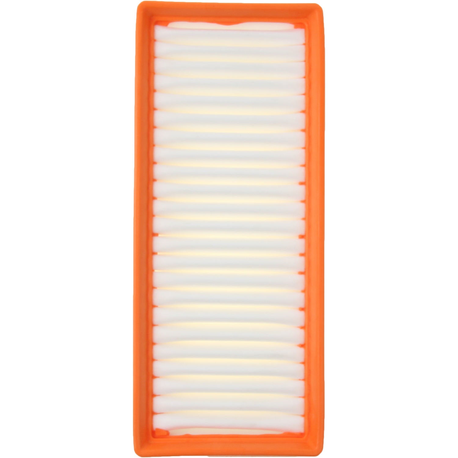 Front View of Air Filter PURFLUX A1509